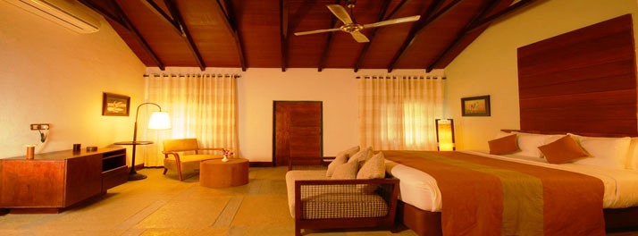 1832/The Windflower Tusker Trails - Bandipur 13.jpg